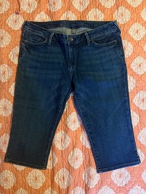 Bullhead Denim Blue Jean Hermosa Capris 2008